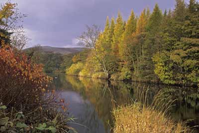 5357_River Ure in Autumn